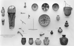 Image courtesy of The Field Museum