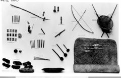 Image courtesy of The Field Museum