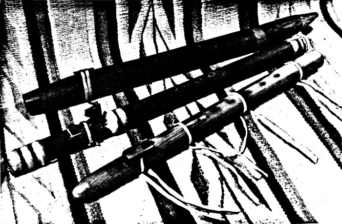 Figure 4. Flageolets from the Sioux (top), Onondaga (middle), and Taos (bottom) Indians. From the private collection of Dr. David P. McAllester. Photograph by Susan McAllester.