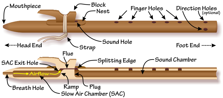 External and internal elements of a Native American flute External and internal elements of a Native American flute
