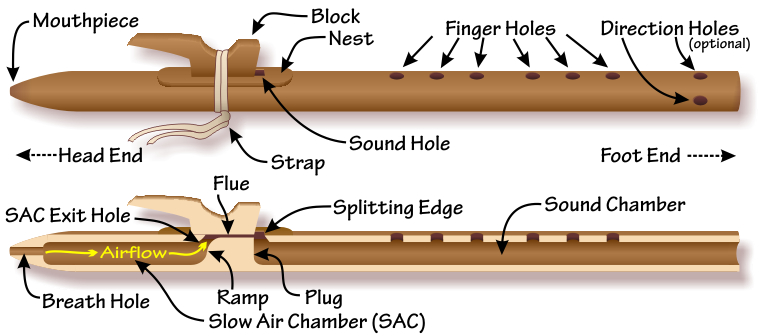 External and internal elements of a Native American flute External and internal elements of a Native American flute