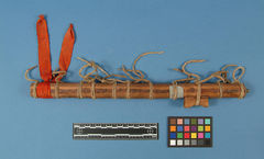 Image courtesy of the Smithsonian Institution.