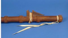 Image courtesy of the Smithsonian Institution.