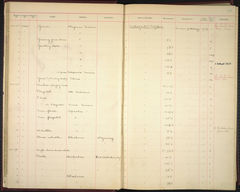 Image courtesy of the Smithsonian Institution.