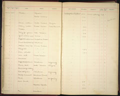 Image courtesy of the Smithsonian Institution.