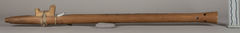 Image courtesy of the Smithsonian Institution.