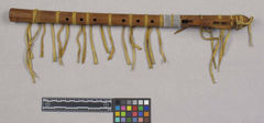 Image courtesy of the Smithsonian Institution.