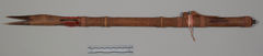 Image courtesy of the Smithsonian Institution.