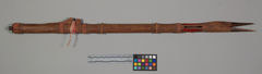 Image courtesy of the Smithsonian Institution.