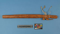 Image courtesy of the Smithsonian Institution.