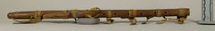 Image courtesy of the Smithsonian Institution.