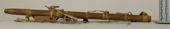 Image courtesy of the Smithsonian Institution.