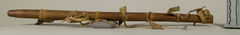 Image courtesy of the Smithsonian Institution.