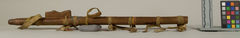 Image courtesy of the Smithsonian Institution.